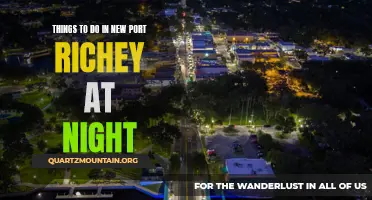 10 Best Nighttime Activities in New Port Richey