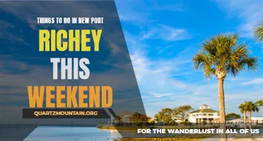 13 Fun Activities to Do in New Port Richey This Weekend