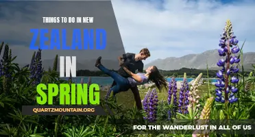 10 Must-Do Activities in New Zealand During Spring