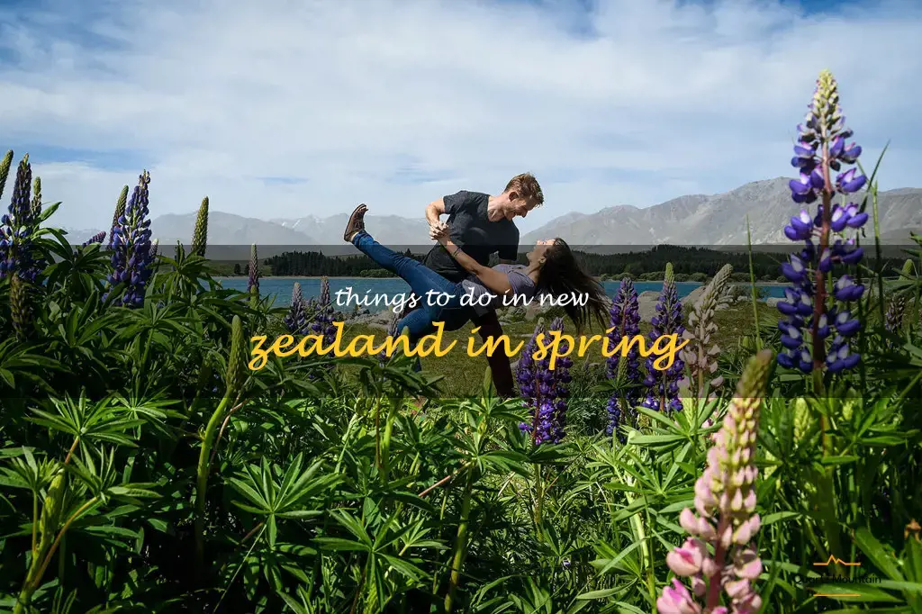 things to do in new zealand in spring