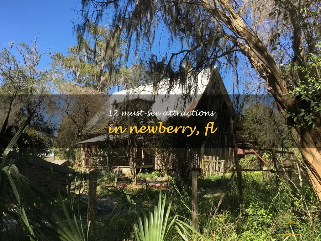 things to do in newberry fl