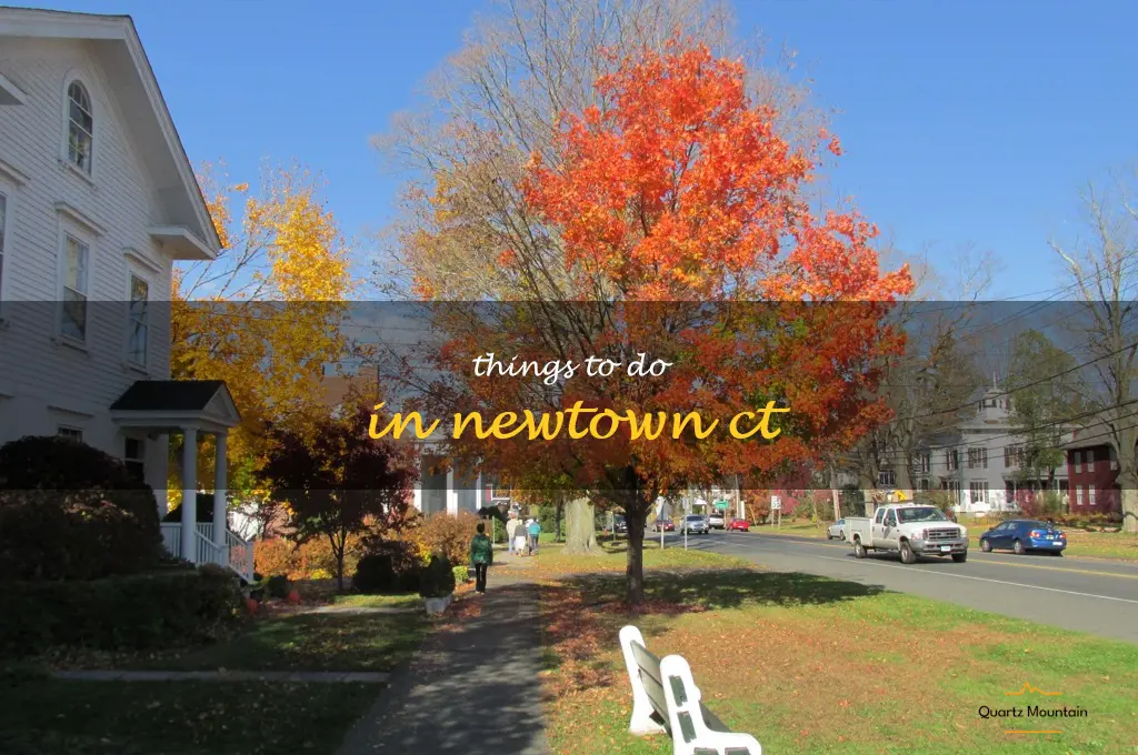 things to do in newtown ct