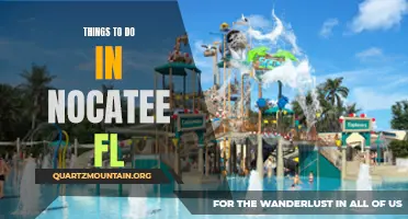 10 Fun Activities to Do in Nocatee, FL