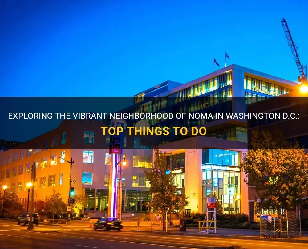 things to do in noma dc