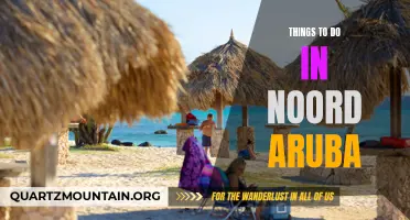 12 Must-Do Activities in Noord Aruba