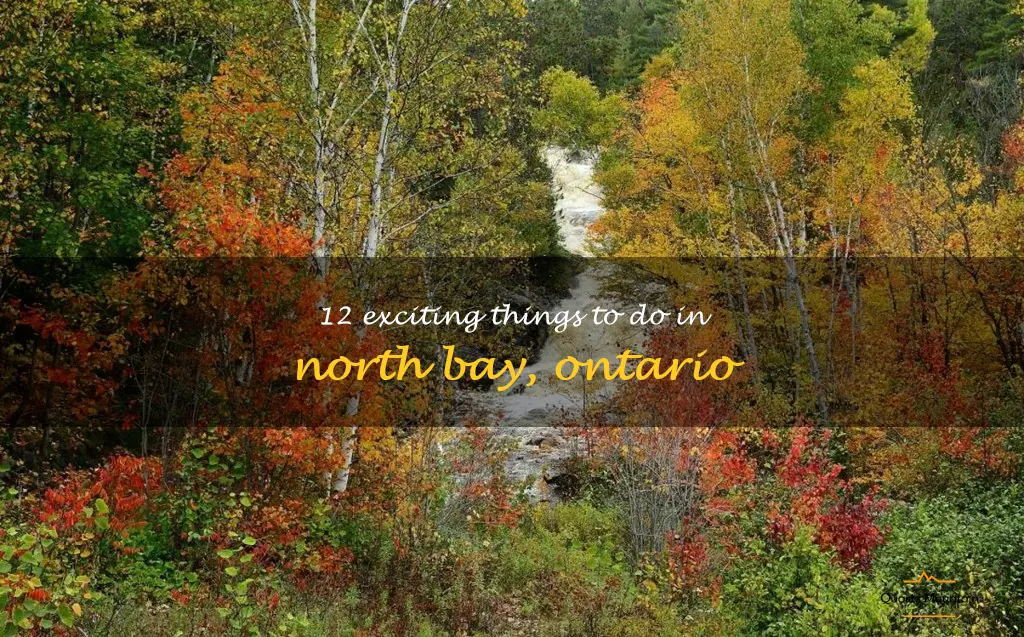 things to do in north bay