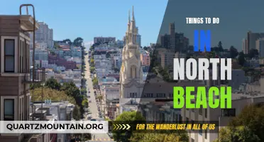 12 Must-Try Activities in North Beach: A Local's Guide