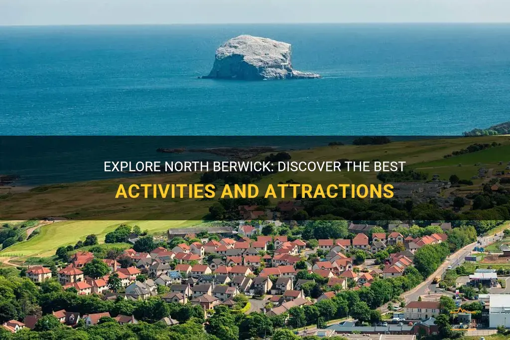 things to do in north berwick