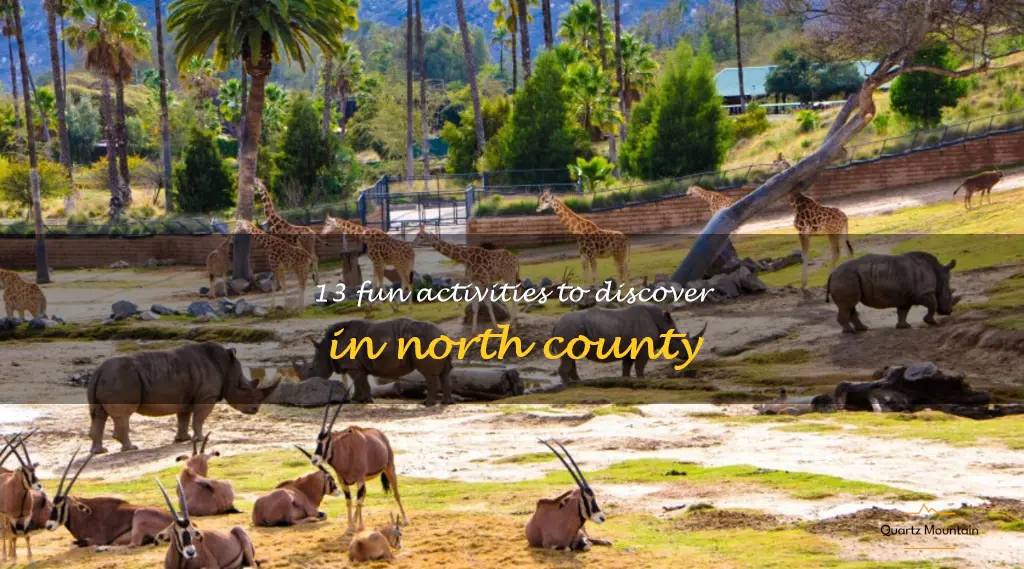 things to do in north county
