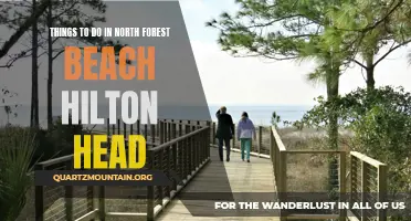 12 Fun Activities to Experience in North Forest Beach, Hilton Head