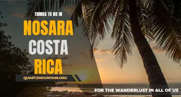 12 Fun Things to Do in Nosara, Costa Rica