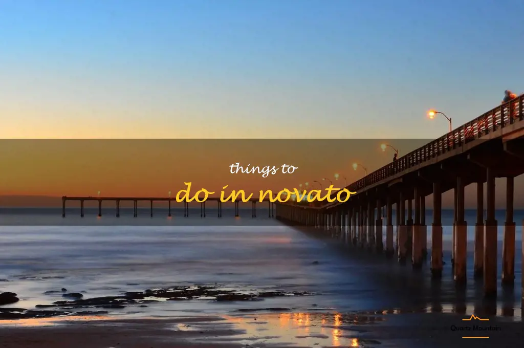 things to do in novato