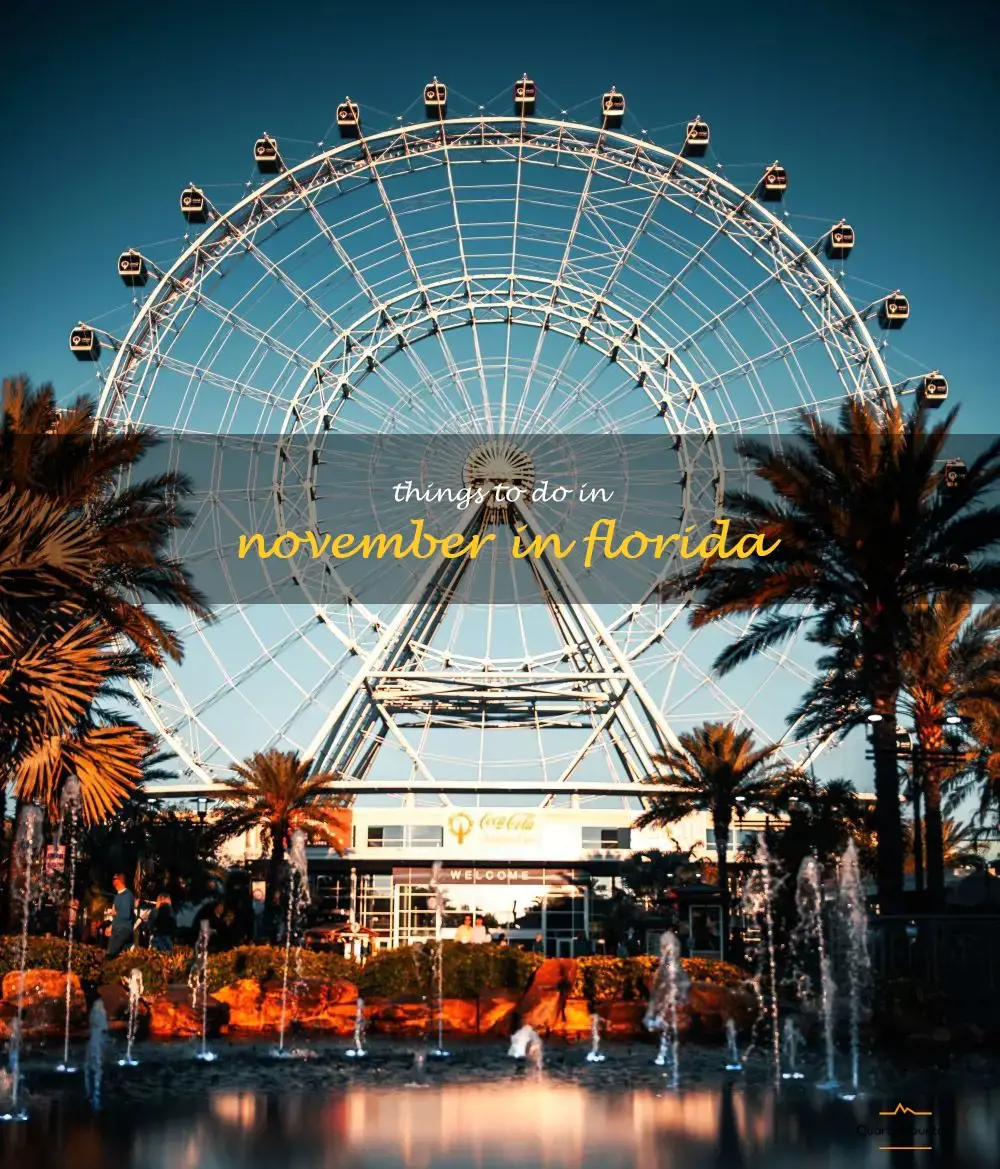 things to do in november in florida