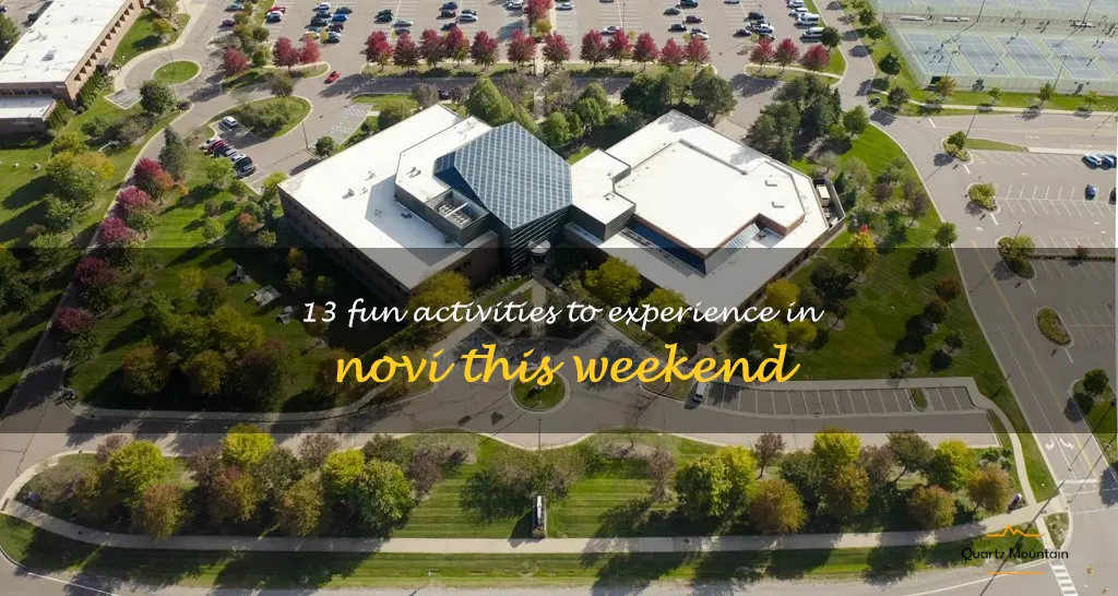 things to do in novi this weekend
