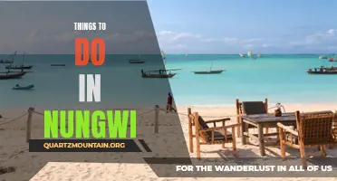 10 Must-Do Activities in Nungwi for a Perfect Beach Escape
