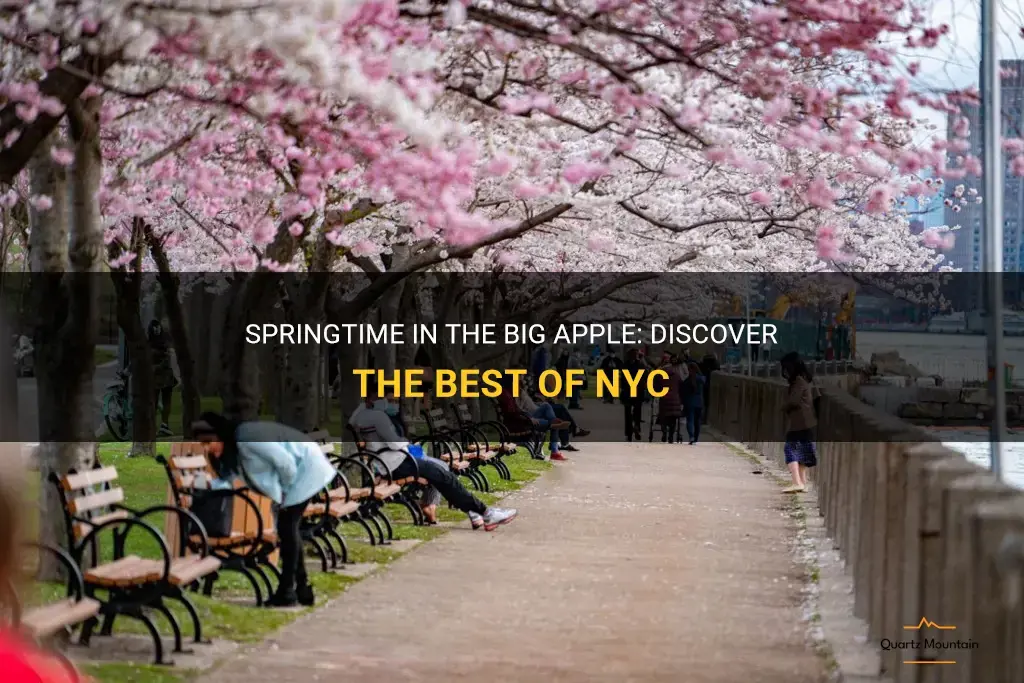 things to do in nyc in the spring