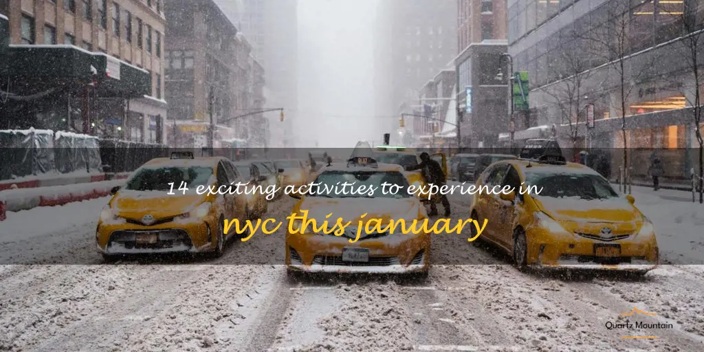 things to do in nyc january