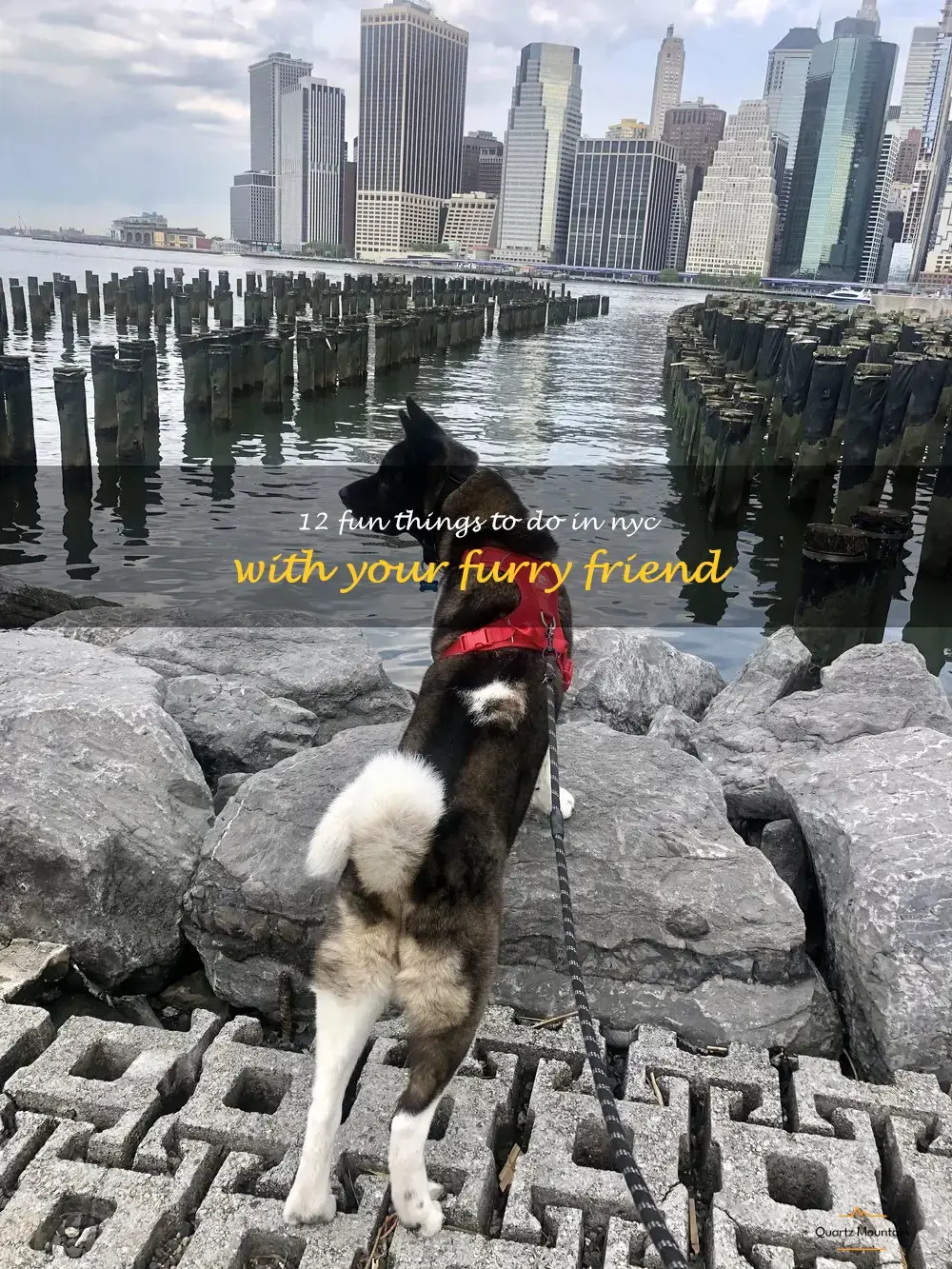 things to do in nyc with your dog