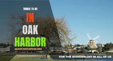 12 Fun Things to Do in Oak Harbor, WA