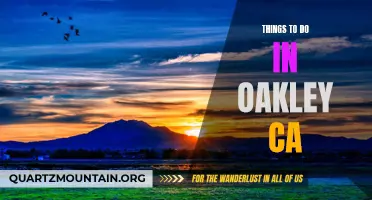 13 Fun Things to Do in Oakley, CA for All Ages
