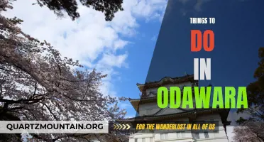 10 Exciting Things to Do in Odawara: Exploring the Castle, Enjoying Hot Springs, and more