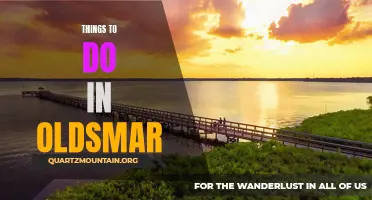 15 Must-Do Activities in Oldsmar for an Unforgettable Experience