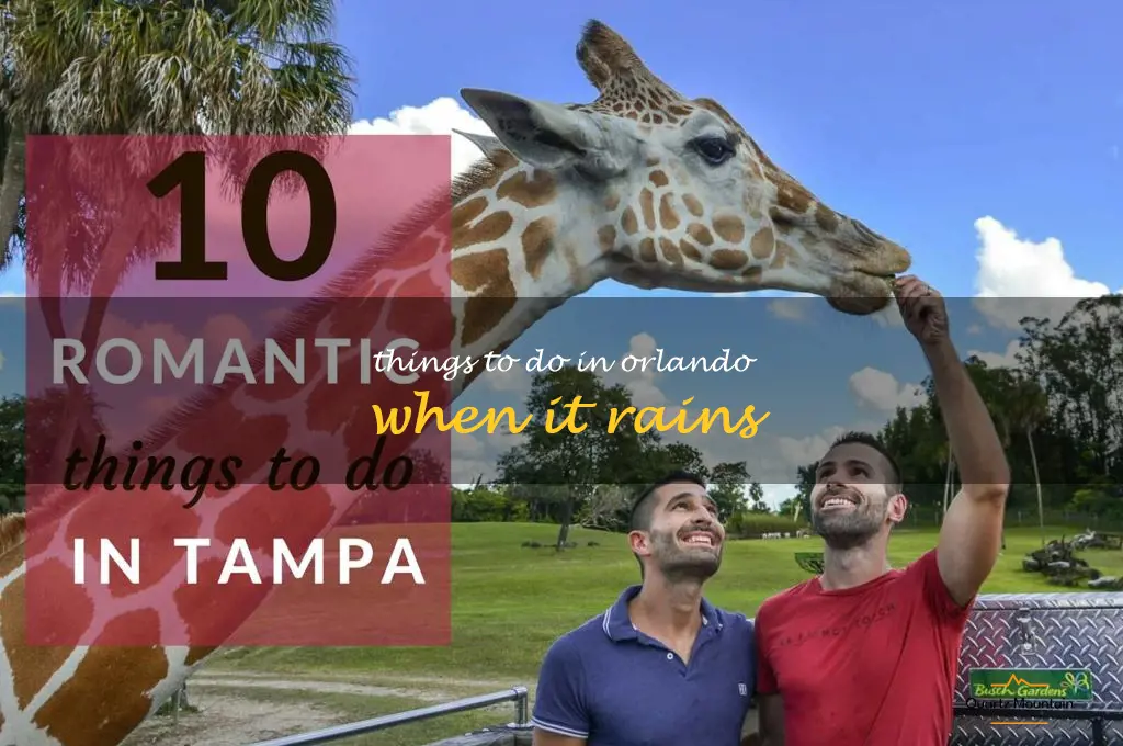 things to do in orlando when it rains