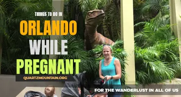 12 Fun Activities for Pregnant Women in Orlando