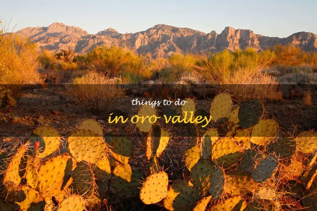 things to do in oro valley