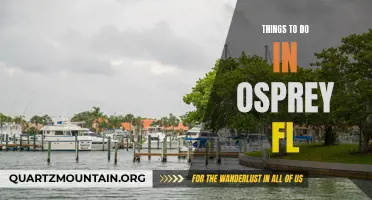 14 Fun Things to Do in Osprey, FL for an Unforgettable Vacation
