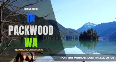 12 Fantastic Activities to Do in Packwood WA