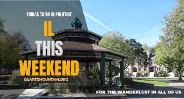 13 Fun Activities to Try in Palatine, IL This Weekend