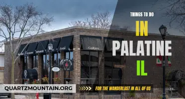 12 Fun Activities to Experience in Palatine, IL