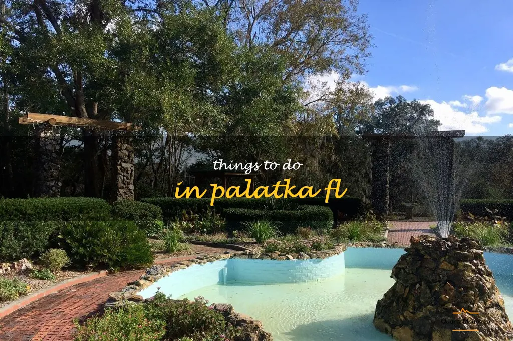 things to do in palatka fl