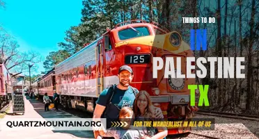 14 Exciting Things to Do in Palestine, TX