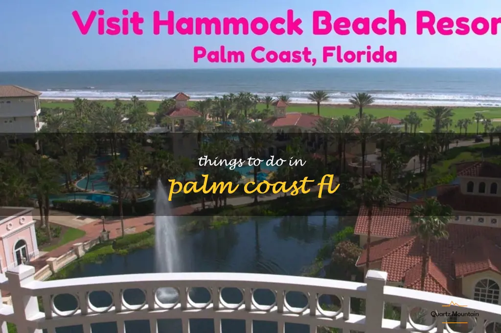 things to do in palm coast fl