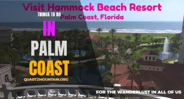 14 Fun Things to Do in Palm Coast, Florida