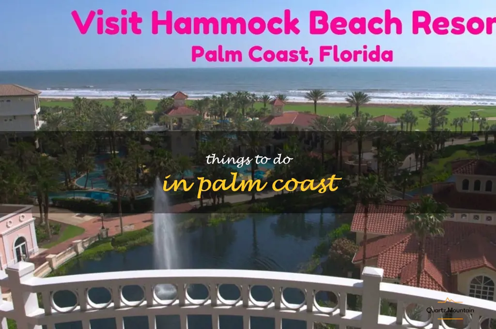 things to do in palm coast