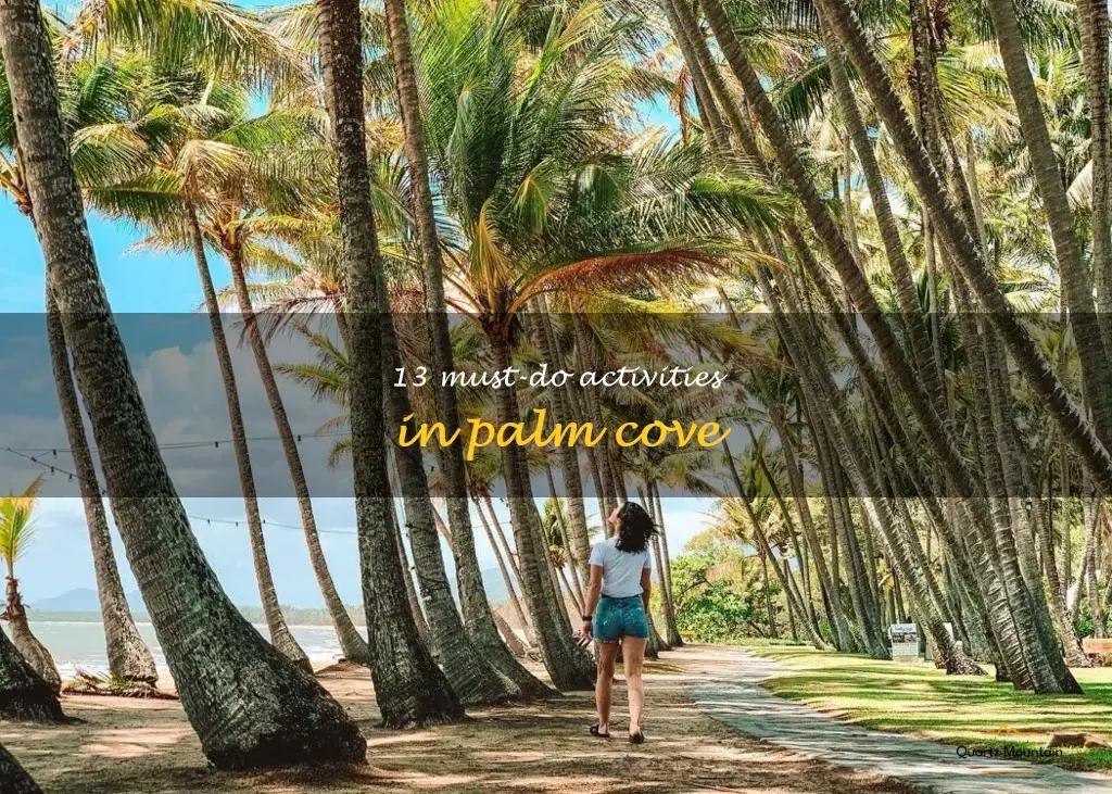 things to do in palm cove