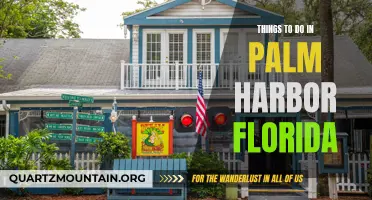 13 Fun Things to Do in Palm Harbor, Florida