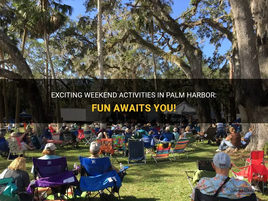 things to do in palm harbor this weekend