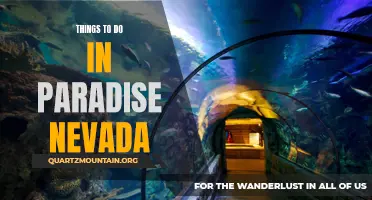 Discover a World of Adventure: Top Things to Do in Paradise, Nevada