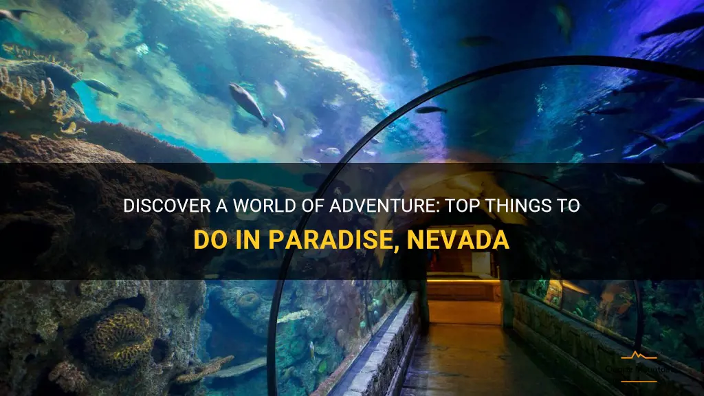 things to do in paradise nevada