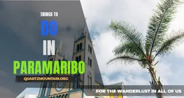 12 Fun Activities to Explore in Paramaribo