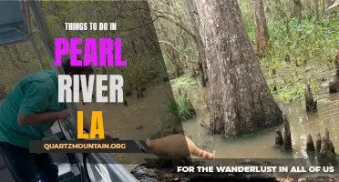 Discover the Best Activities in Pearl River, LA