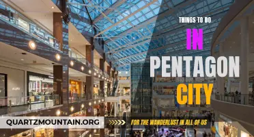 12 Exciting Activities to Experience in Pentagon City