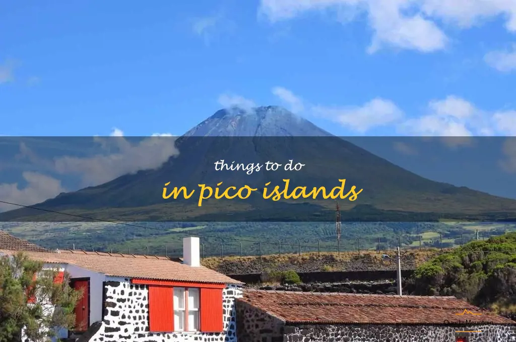 things to do in pico islands