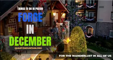 12 Fun Activities to Experience in Pigeon Forge During December