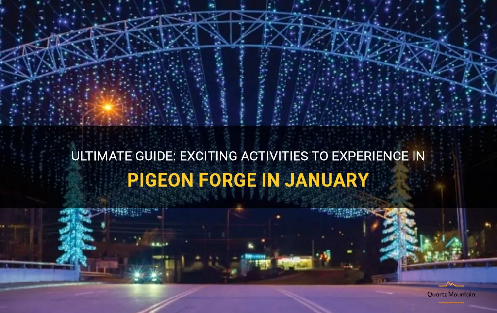 things to do in pigeon forge in january