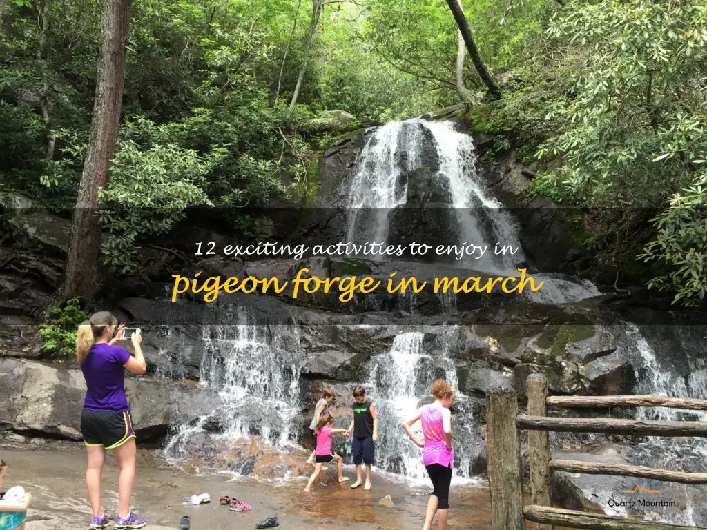 things to do in pigeon forge in march